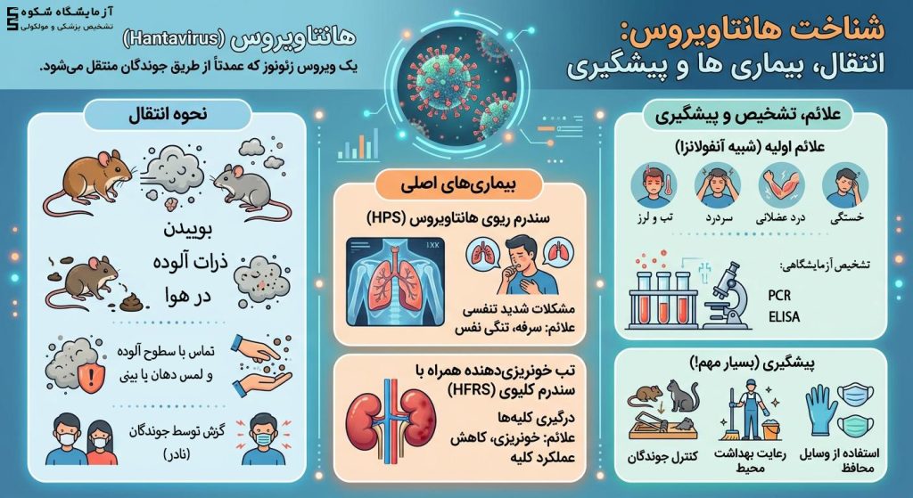 اینفوگرافیک آموزشی شناخت هانتاویروس شامل بخش‌های نحوه انتقال از جوندگان، بیماری‌های اصلی (سندرم ریوی و کلیوی)، علائم اولیه شبیه آنفولانزا و روش‌های پیشگیری و تشخیص آزمایشگاهی.