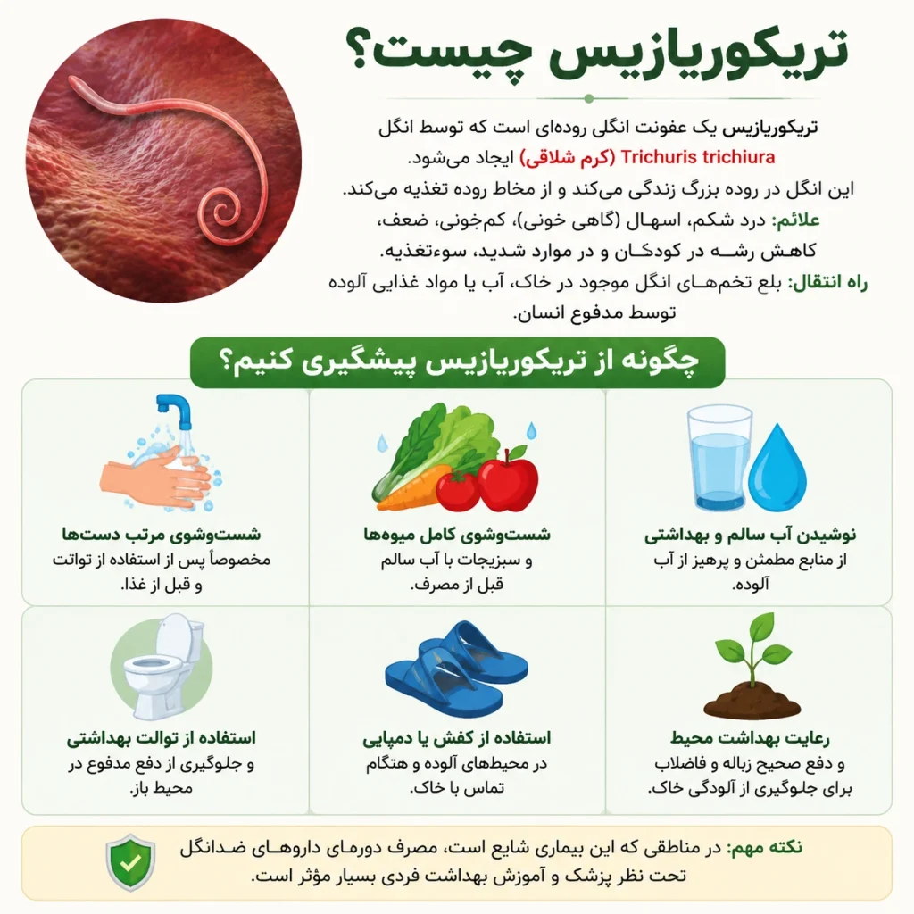 اینفوگرافیک فارسی بیماری تریکوریازیس (کرم شلاقی) شامل تعریف بیماری، علائم مانند درد شکم و کم‌خونی، و ۶ روش اصلی پیشگیری بهداشتی.